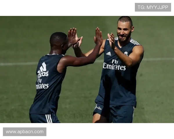 阿韦洛亚力挺维尼修斯零容忍